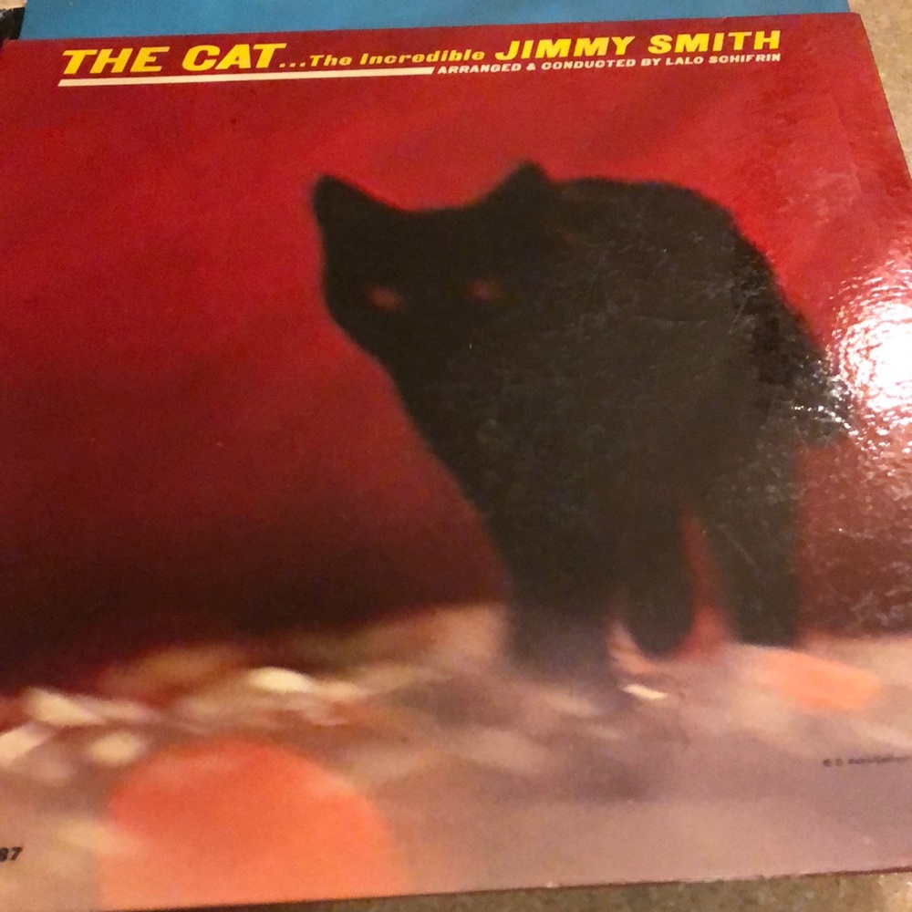 Jimmy smith the cat